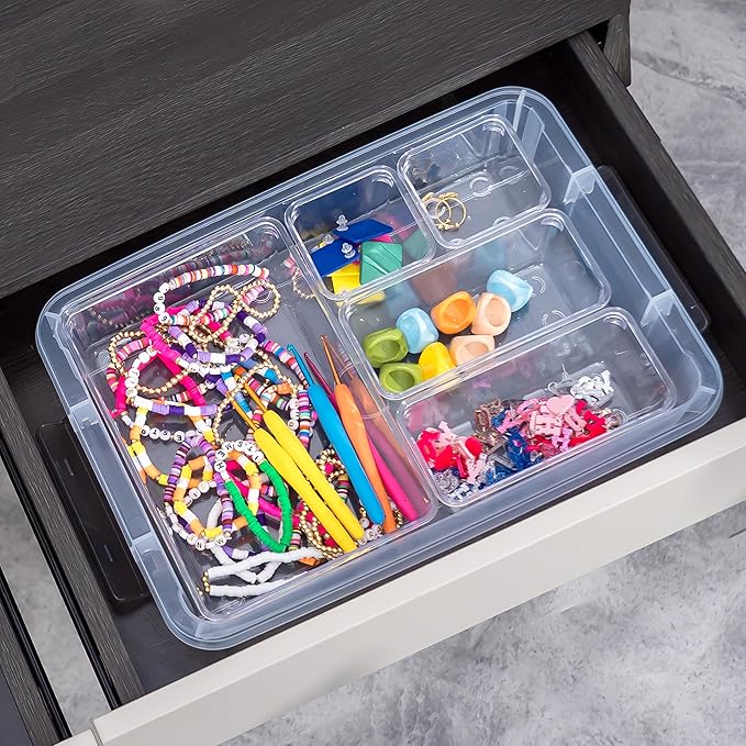 ITYLIFE CITYLIFE 2 PCS Plastic Storage Bins with Removable Tray Portable Craft Storage Box with Snap Clip Stackable Plastic Compartment Organizer Box for Jewelry, Widgets, Bead Organizer, Art Supply