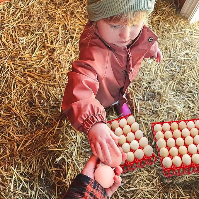 4-Pack Plastic Egg Tray Egg Crate, 30-Egg Flats for Home Chicken Farmers, Stackable & Durable, Great for Storing, Sorting & Shipping, and Reusable (4-Pack Red)